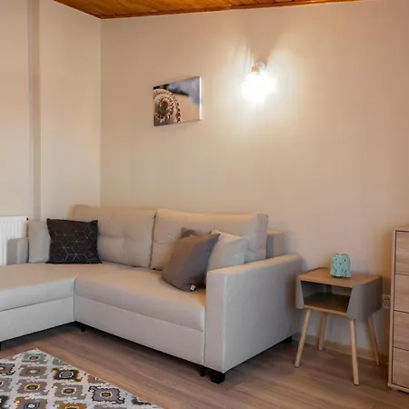 Апартаменты U Ani 1 Дзвижино