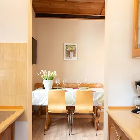 Апартаменты U Ani 1 Дзвижино